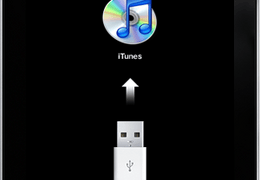 Connect to iTunes
