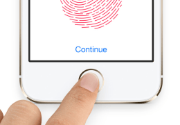 Fingerprint Reading