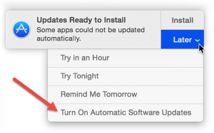 Screenshot showing how to turn on automatic updates in OS X, image from apple.com