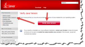 do-i-have-java-website-screenshot