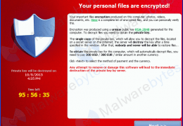 What is Ransomware?