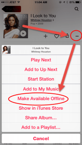 apple-music-make-available-offline-screenshot