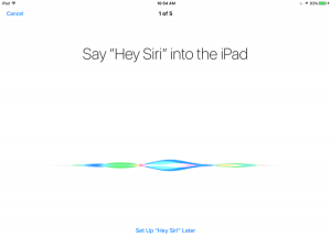 ipad-hey-siri-setup-screenshot