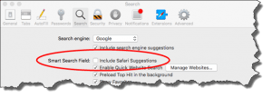 mac-safari-suggestions-screenshot (2)