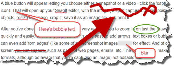 techsmith-snagit-editing-examples-screenshot