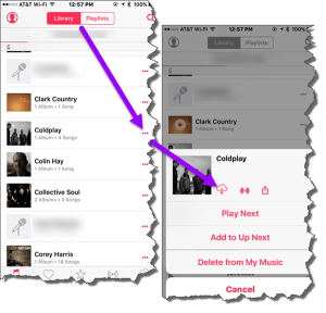iphone-itunes-app-song-list-menu-screenshot