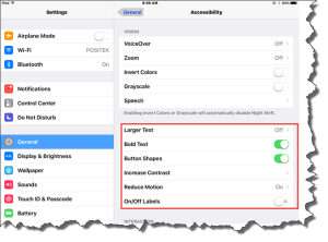 ipad-accessibility-settings-screenshot