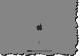 Mac Startup