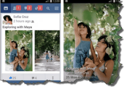 Facebook Snafu on Pixel