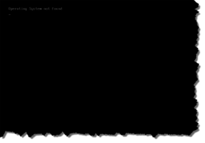 operating-system-not-found-screenshot
