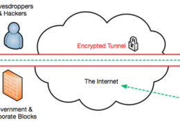 To VPN or Not to VPN