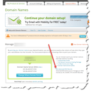 netsol-dns-editing-screenshot