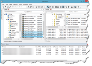 secure-fx-screenshot