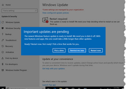 Update Windows 10 Now