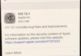 iOS 13.1.1 or iPhone 11?