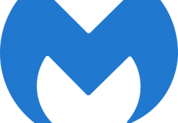 Malwarebytes 4.1