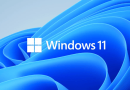 Windows 11 now or later?