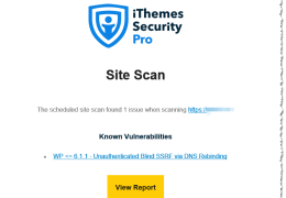 Website Security