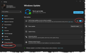 Windows 11 > Windows Update automatic option turned on 