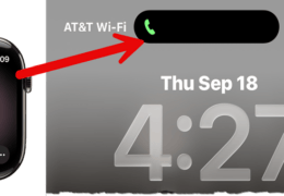 Apple Watch Calling Tip