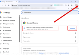 Chrome Update or Alternative?