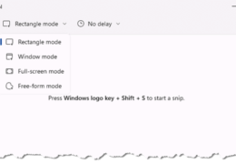 Windows 11 Screenshotting
